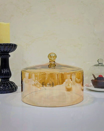 Glass Dome With Glass Wooden Base 9x7" ( Gold )