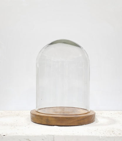 Glass Dome Cloche With Wooden Base 6x8 Inch