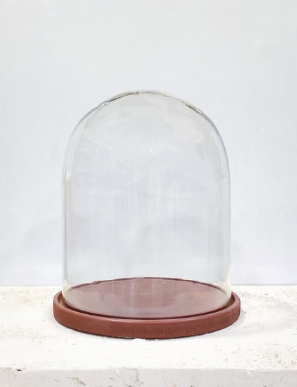 Glass Dome Cloche With Wooden Base 8 x 10 Inch