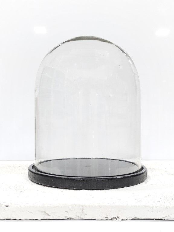 Glass Dome Cloche With Wooden Base 8 x 10Inch