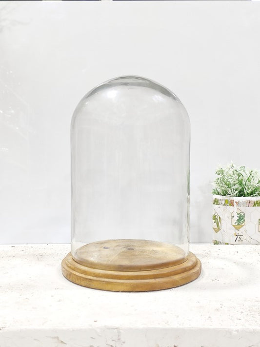 Glass Dome Cloche With Wooden Base 6 x 8 Inch