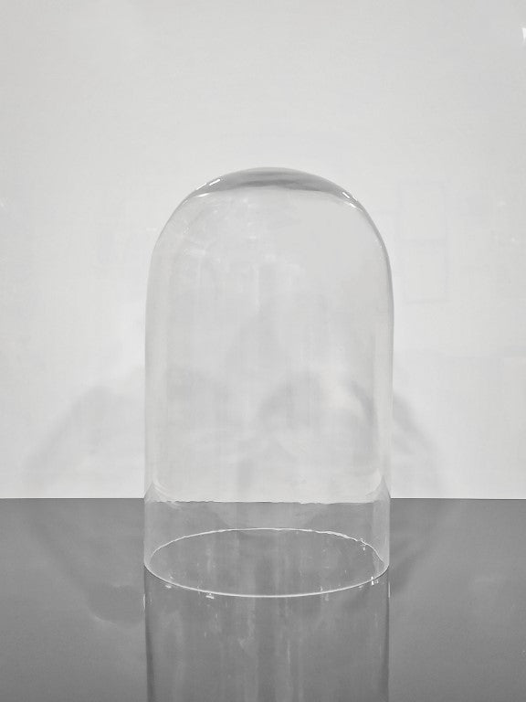 Glass Dome Cloche 6x9 inch