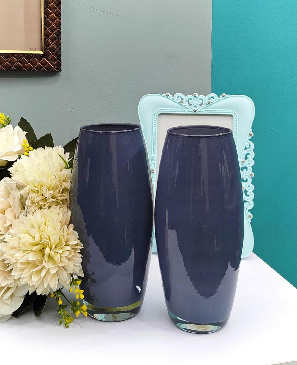 Glossy Oval Glass Vase Set of 2