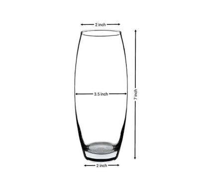 Glossy Oval Glass Vase Set of 2